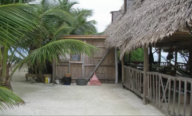 Many of the buildings at Billy Hawk Caye have thatched roofs