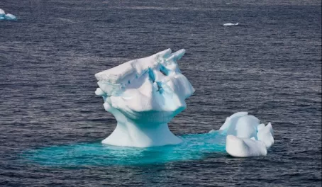 A friendly iceberg, "hello!"