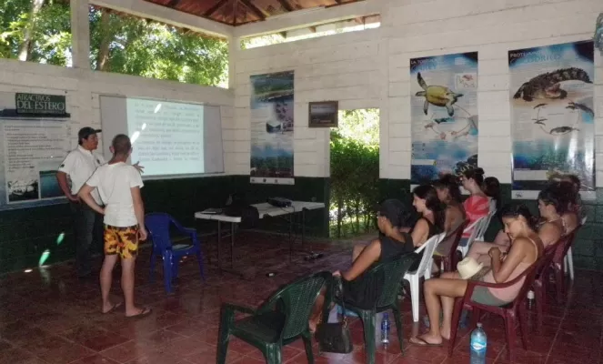Sea Turtle conservation work in Padre Ramos, Nicaragua