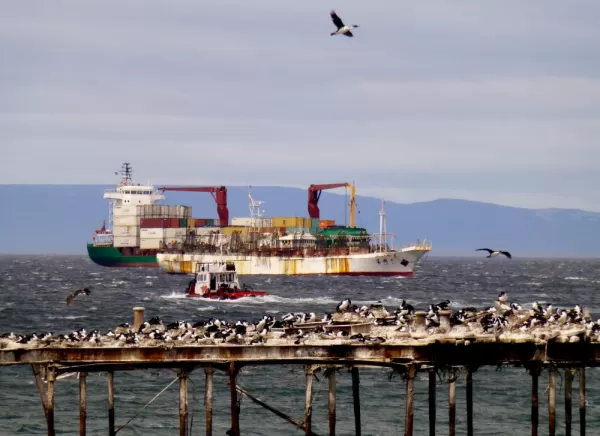 Sea in Punta Arenas as seen from Dreams Hotel