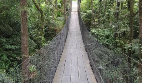 Hanging bridge at the Arenal Observatory Lodge