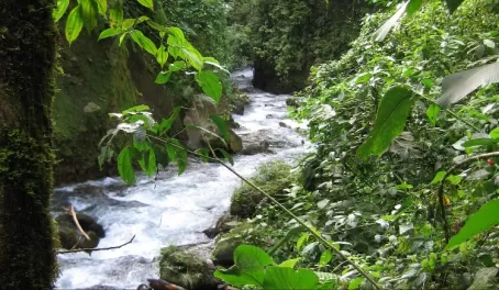 River near Arenal