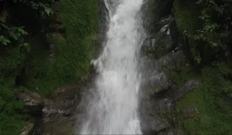Waterfall at Selva Bananito
