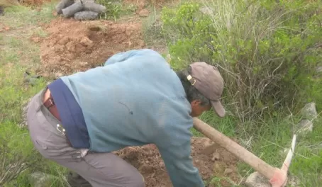 Reforestation project in Peru