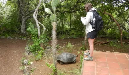 viewing tortoises on San Cristobal
