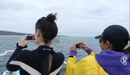 photographing the whales