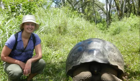 Finding a giant tortoise on a hike