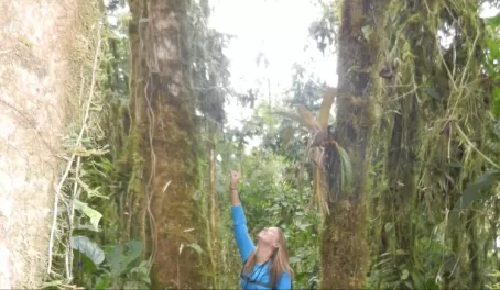 Hiking in the Ecuador cloudforest