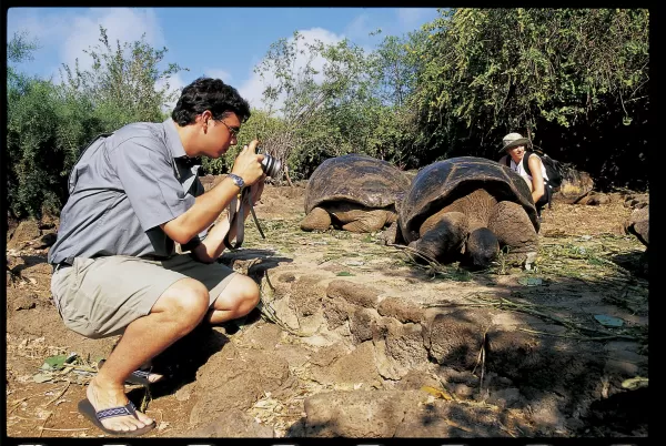 Tortoise being photographed