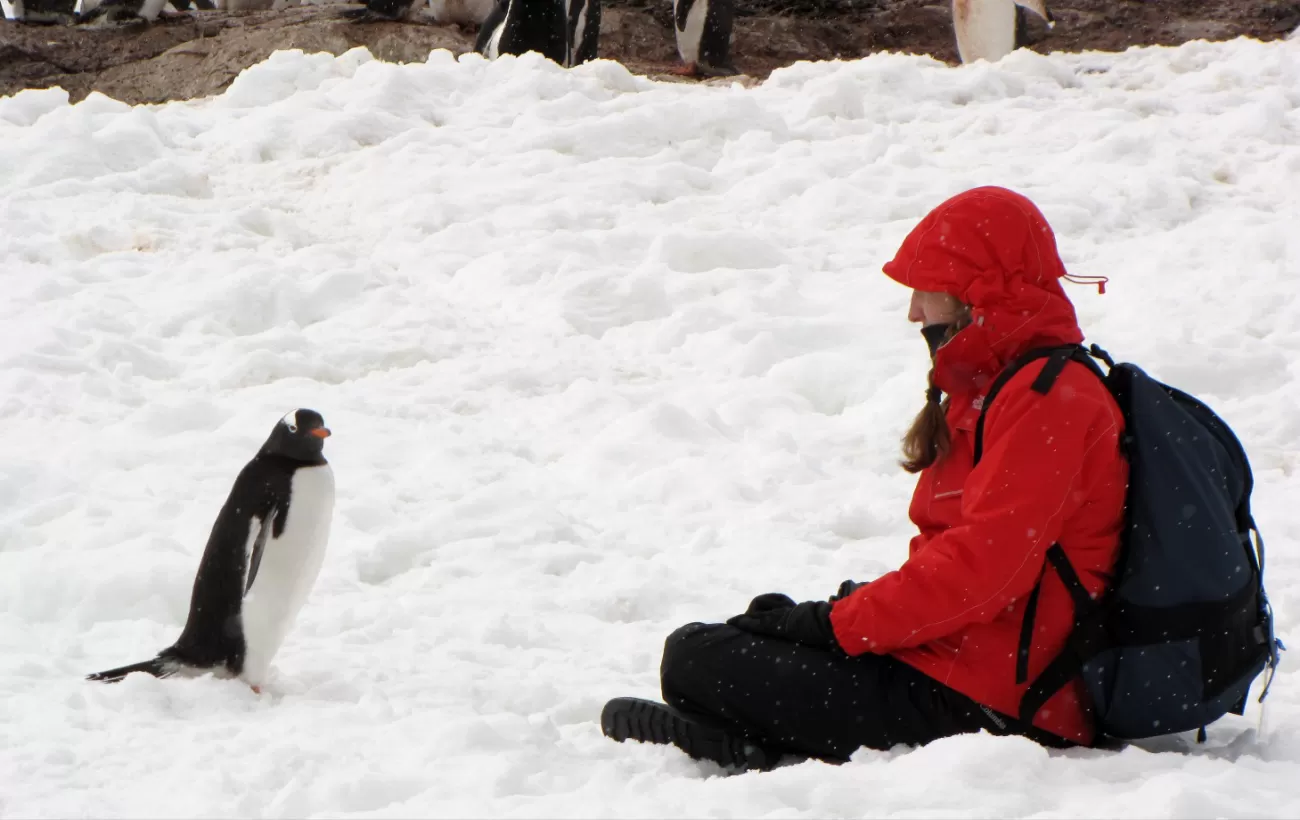 Beth meets a penguin