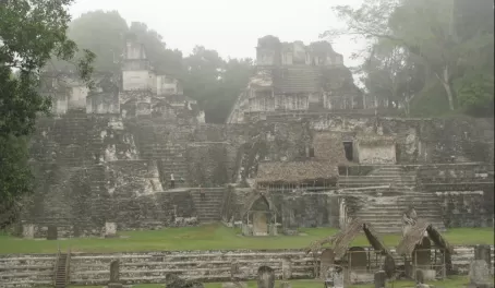 mist of Tikal ruins