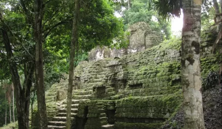 Tikal ruins