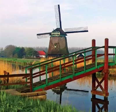 Discover Holland\s tranquil landscape on your European culture cruise