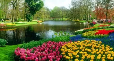 Wander through the celebrated Keukenhof Gardens during your springtime cruise through the Netherlands