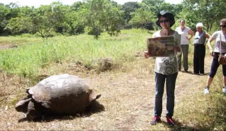 Giant Tortoise and Barb on Santa Cruz