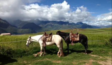 Horseback riding in Sacred Valley, Peru