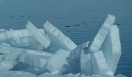 Ice at floe edge, Baffin Island
