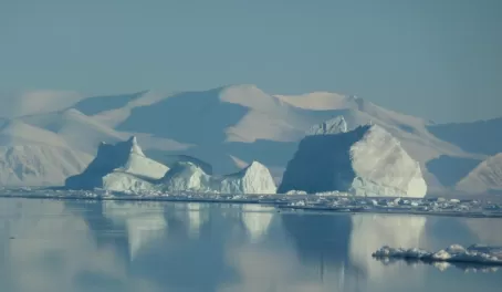 Iceberg at floe edge