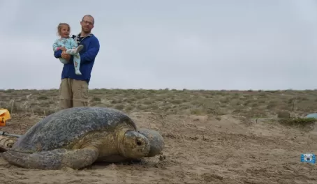 A father and daughter watch a sea turtle return to the water in Magdalena Bay, Baja