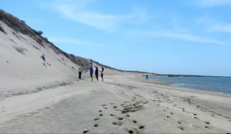 Footprints in Baja sand