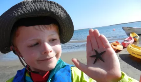 Found a starfish