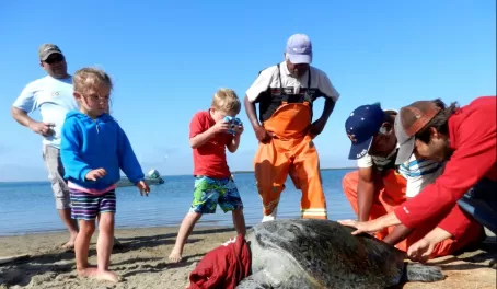 A family participates in sea turtle research in Baja