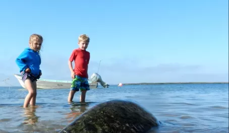 Children approach a sea turtle in Magdalena Bay