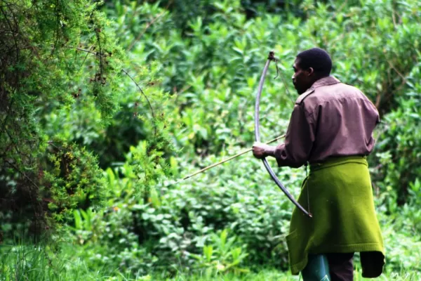 Batwa People use traditional bow and arrow for hunting.