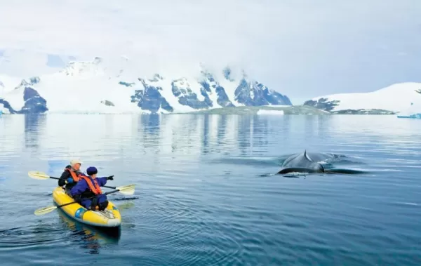 Watch humpback whales on your Antarctic cruise