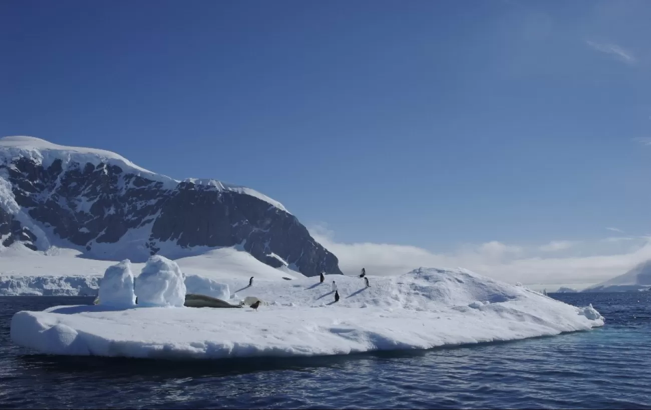 Penguins on the coast of the Antarctic Peninsula