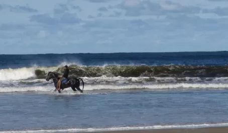 Riding in the surf