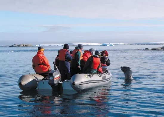 Be prepared for curious wildlife!  An inquisitive leopard seal inspects a Zodiac-load of expeditioners