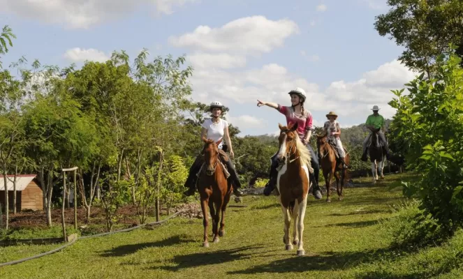 Tour the Chaa Creek Nature Reserve from horseback 