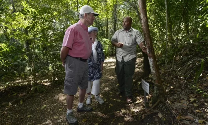 Visitors learn about the local habitat from one of Chaa Creek's experienced guide