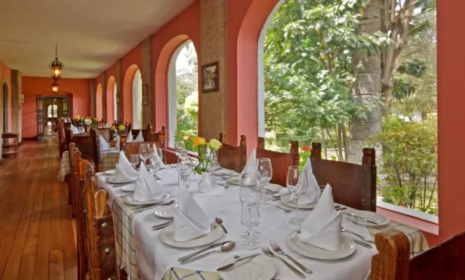 Comfortable, luxurious dining at La Cienega
