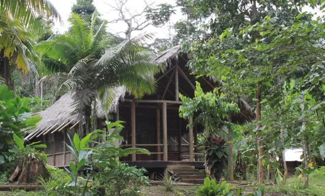 Comfortable cabins in the Ecuadorian Amazon at Huaorani Lodge