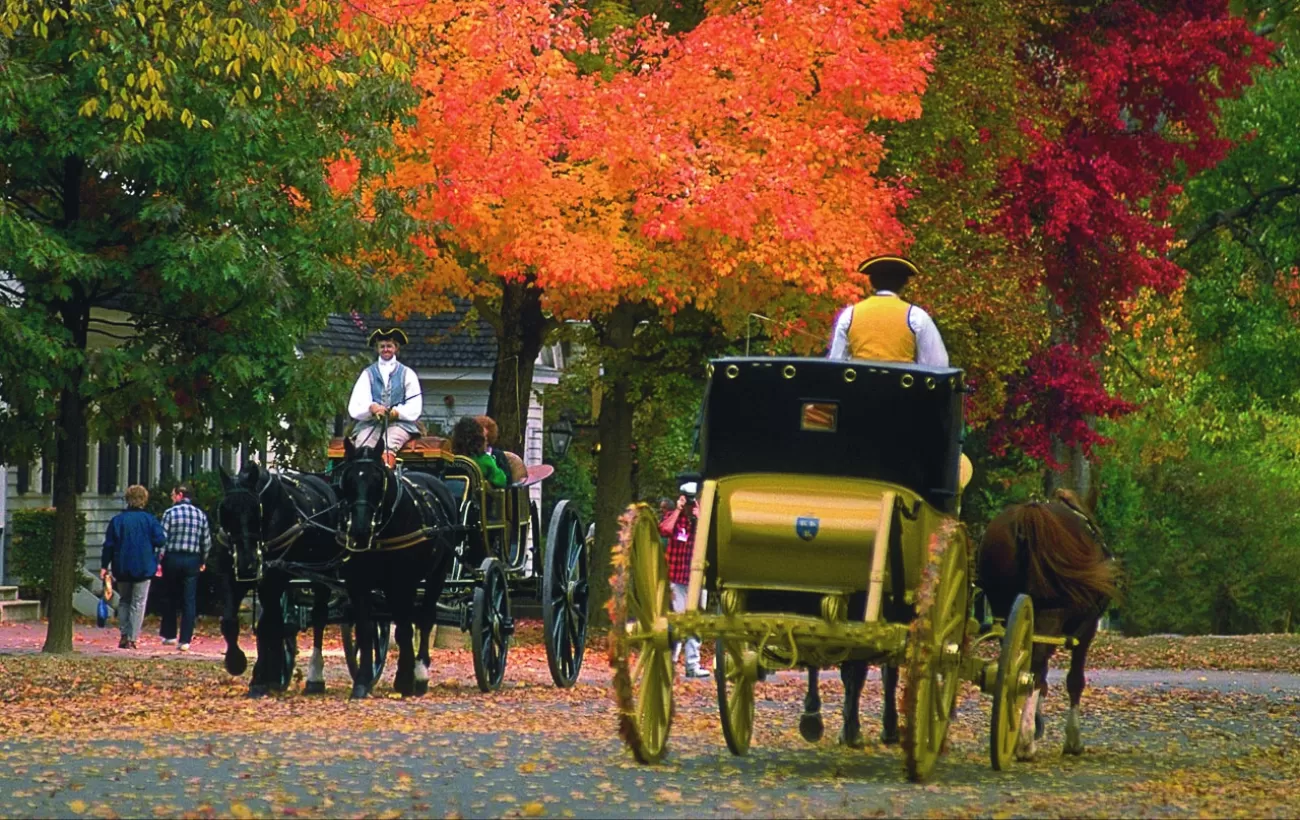 Enjoy a carriage ride through Williamsburg.