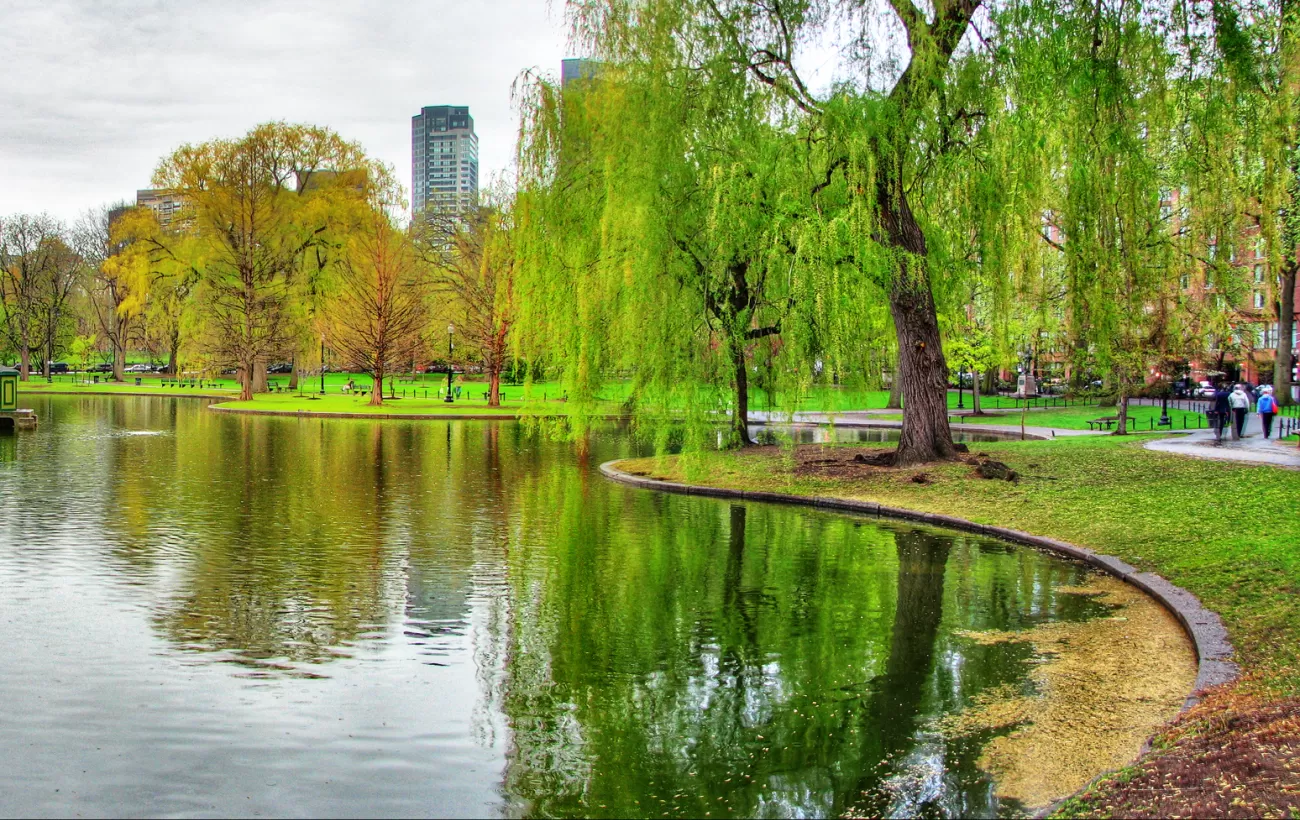 Take a stroll through Boston's Public Garden.