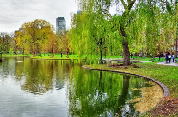 Take a stroll through Boston's Public Garden.