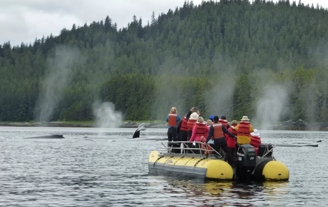 Whale watching from a zodiac in Alaska.