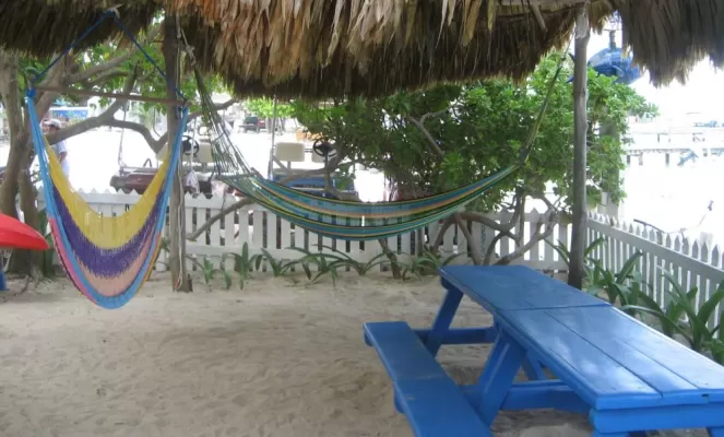 Relax with a book in one of Blue Tang Inn's beach-side hammocks