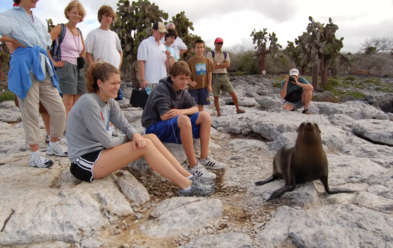 Travelers sit on the rocks and watch a seal in action.