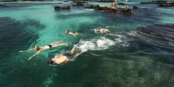 Snorkelers making their way through crystal clear waters.