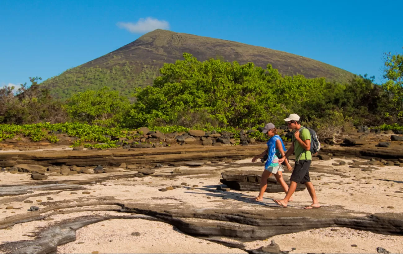 Take a walk through the unique landscape of the Galapagos.