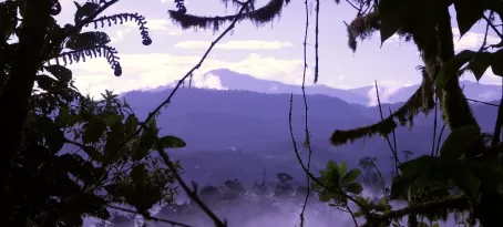Cloudforest in Mindo