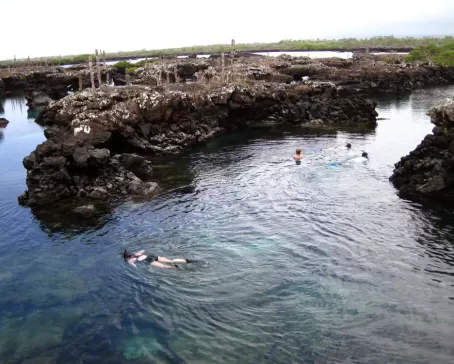 Galapagos snorkeling