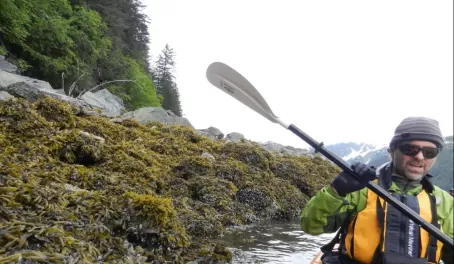Kayaking around the coast of Alaska