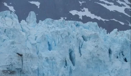 Kayak around the amazing glaciers of Alaska