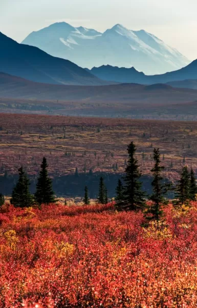 The beautiful colors of autumn emerge in the Alaskan wilderness