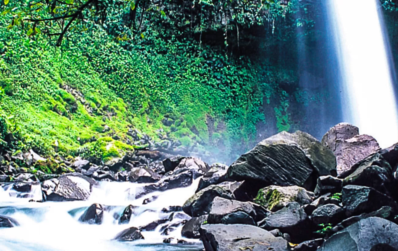 Rainforest waterfall Costa Rica
